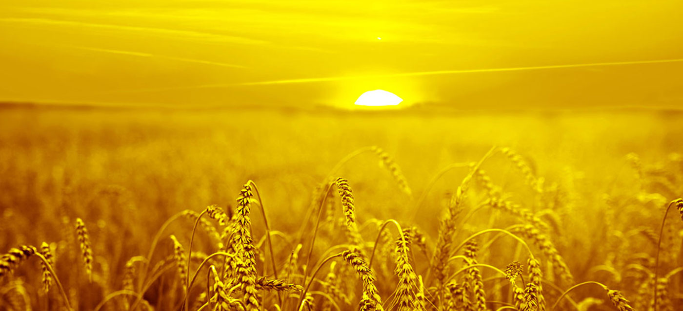 Ni ŝatas Ofertajn Kolorajn Solvojn